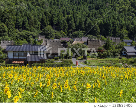 満開のヒマワリが咲く夏の美山かやぶきの里 満開のヒマワリが咲く夏の美山かやぶきの里 128655406