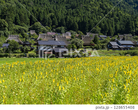 満開のヒマワリが咲く夏の美山かやぶきの里 128655408
