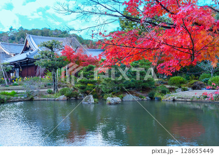 秋の京都　法金剛院庭園　池と紅葉 128655449