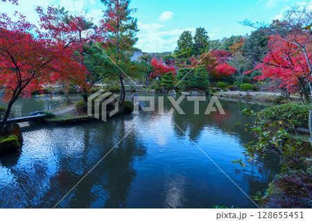 秋の京都 法金剛院庭園 池と紅葉 秋の京都 法金剛院庭園 池と紅葉 128655451