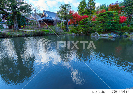 秋の京都 法金剛院庭園 池と紅葉 秋の京都 法金剛院庭園 池と紅葉 128655455