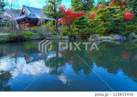 秋の京都　法金剛院庭園　池と紅葉 128655456