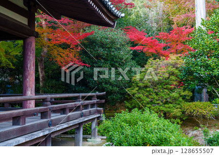 秋の京都 法金剛院庭園 紅葉 秋の京都 法金剛院庭園 紅葉 128655507