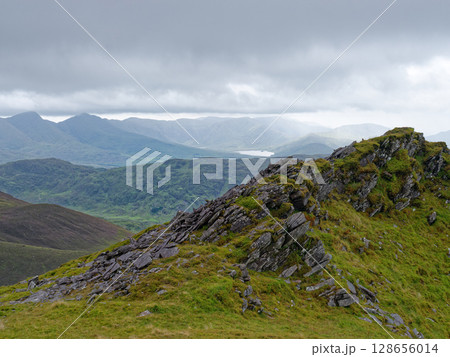 Rocky, grassy ridge of the Coomloughra Horseshoe rises in the foreground. Misty light softens the view to distant mountains and a lake in County Kerry, Ireland. 128656014