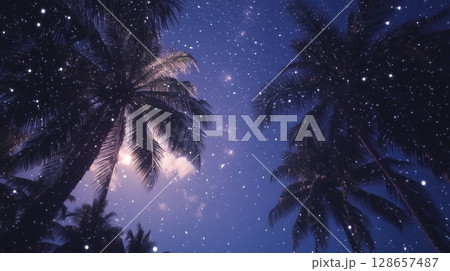 Mystical winter night with palm trees 128657487