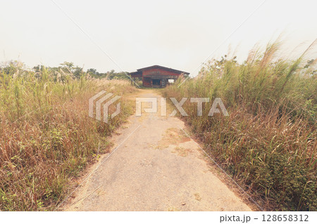 A dirt road leads to an abandoned villa called Damnak Sla Khmao or Black Palace in Bokor Hill Kampot Cambodia, a popular tourist attraction  128658312