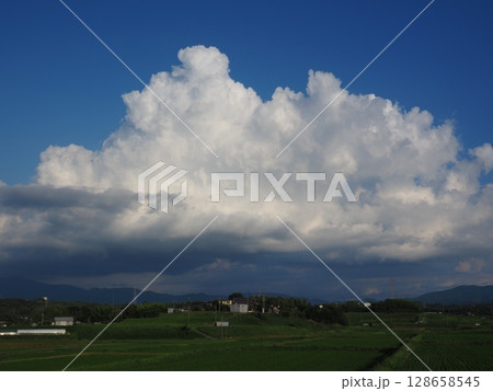 夏の空 128658545