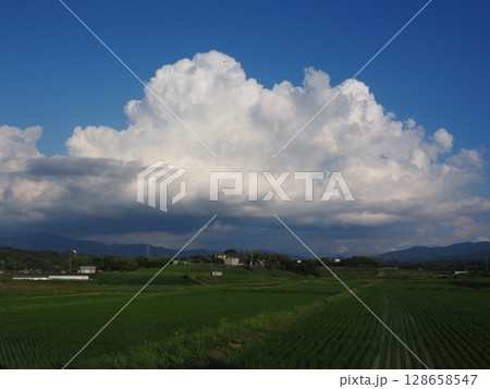 夏の空 128658547