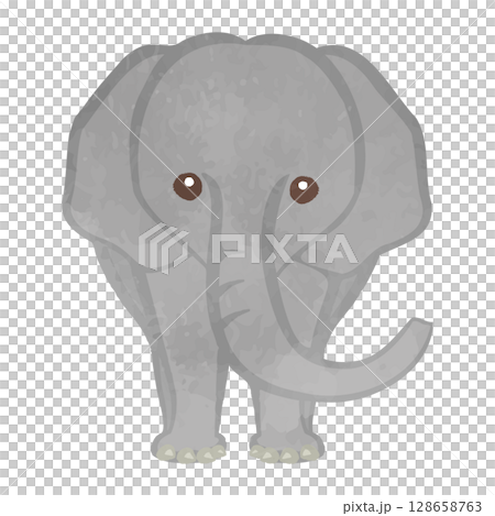 かわいい象のイラスト 128658763