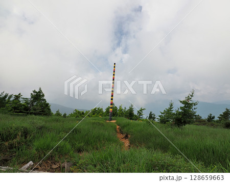 【山の標識】富山県・折立~太郎平・冬の積雪量を測るポール(2025年) 【山の標識】富山県・折立~太郎平・冬の積雪量を測るポール(2025年) 128659663