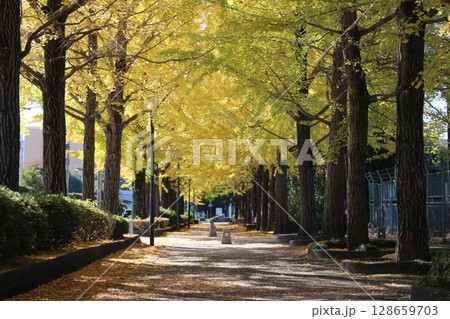 宇都宮駅東公園 宇都宮駅東公園 128659703