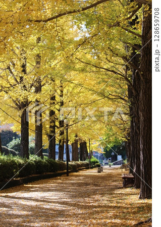 宇都宮駅東公園 128659708