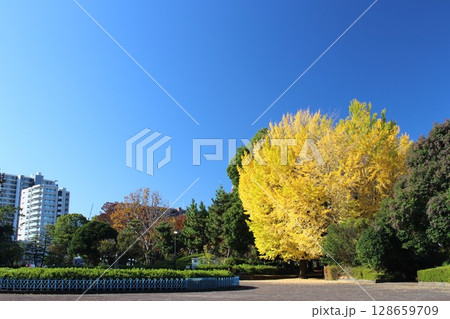 宇都宮駅東公園 128659709