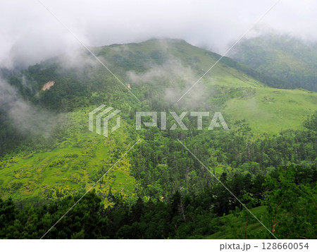 【山の風景】富山県・折立~太郎平・登山中(2025年) 【山の風景】富山県・折立~太郎平・登山中(2025年) 128660054