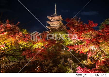 Toji 5 story pagoda and autumn maple leaf light up by pond, Kyoto Toji 5 story pagoda and autumn maple leaf light up by pond, Kyoto 128661643