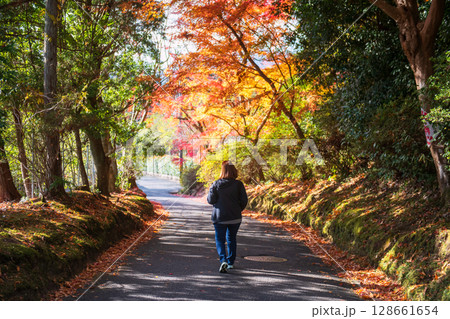 Japanese woman walk through colorful maple tree tunnel, Kyoto 128661654