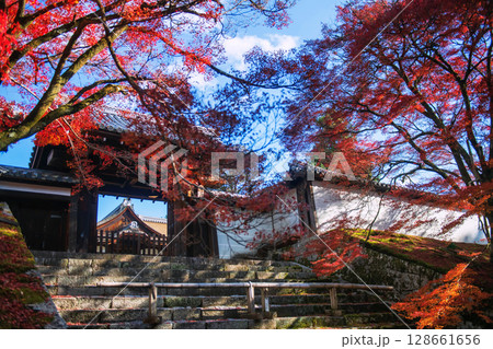 Red maple leaf by Manshuin Monzeki temple gate in Autumn, Kyoto 128661656