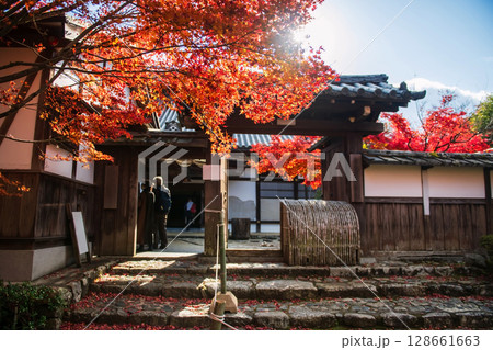 Manshuin temple entrance with red maple leaf in autumn, Kyoto Manshuin temple entrance with red maple leaf in autumn, Kyoto 128661663