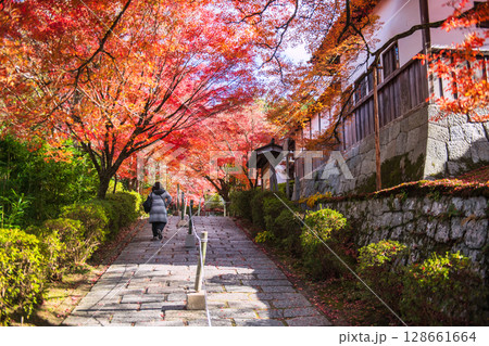 woman at autumn maple tree tunnel to Manshuin temple, Kyoto woman at autumn maple tree tunnel to Manshuin temple, Kyoto 128661664
