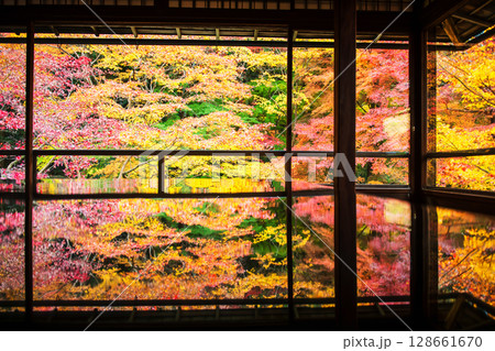 autumn foliage colors with reflect on table of Rurikoin temple, Kyoto autumn foliage colors with reflect on table of Rurikoin temple, Kyoto 128661670