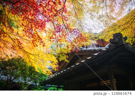 Rurikoin Temple with colorful maple leaf in autumn, Kyoto, Japan 128661674