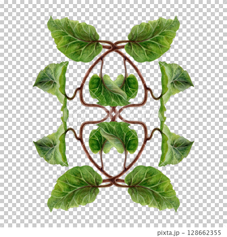 Watercolor illustration of symmetrically arranged green kiwi leaves and curly brown stems - lianas. Realistic botanical composition for interior prints, home decor, packaging, textiles or eco-design. 128662355