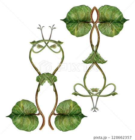 Set of watercolor symmetrically arranged green kiwi leaves and curly brown stems - lianas. Realistic botanical composition for interior prints, home decor, packaging, textiles or eco-design. 128662357