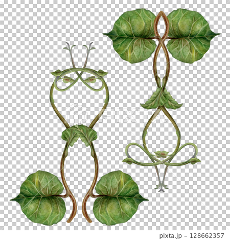 Set of watercolor symmetrically arranged green kiwi leaves and curly brown stems - lianas. Realistic botanical composition for interior prints, home decor, packaging, textiles or eco-design. 128662357