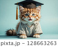 Cute kitten wearing graduation cap on blue background 128663263