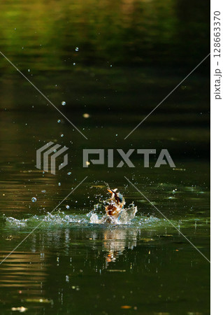 渾身の一撃 渾身の一撃 128663370