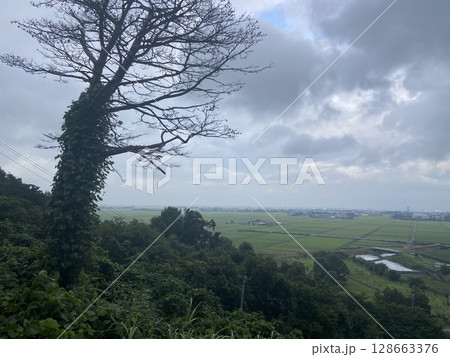 新潟市西蒲区　風景 128663376