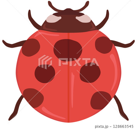てんとう虫のイラスト ベクター素材 128663545