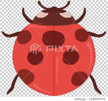 てんとう虫のイラスト ベクター素材 128663545