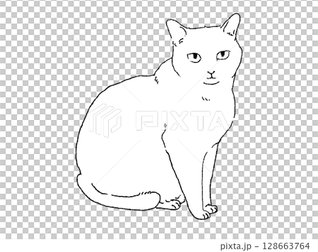 White cat sitting facing forward White cat sitting facing forward 128663764