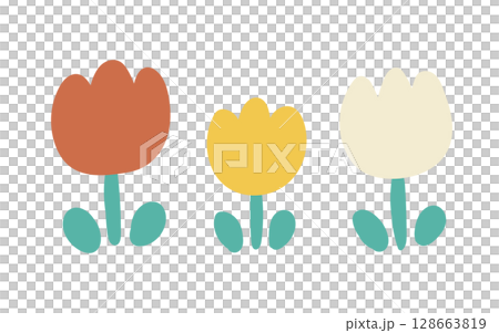 三朵彩色鬱金香排成一列的插圖 128663819