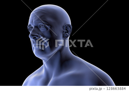 Man's head and neck silhouette, front-side view, showing facial contours, jawline, and neck anatomy, 3D illustration 128663884