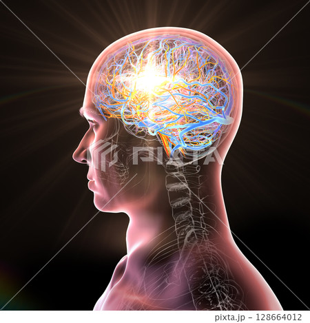 Brain stroke, 3D conceptual illustration showing human brain with highlighted vessels and light flash indicating sudden vascular event or occlusion. 128664012