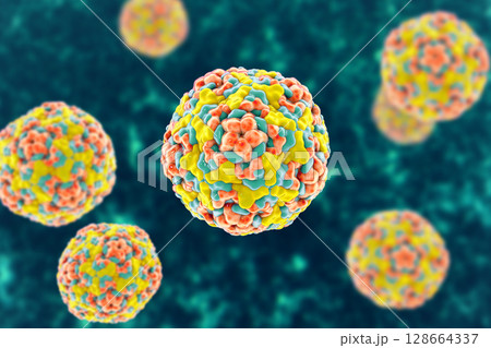 Enteroviruses, 3D illustration showing spherical, non-enveloped RNA viruses responsible for diseases like meningitis, myocarditis, hand-foot-mouth disease. Enteroviruses, 3D illustration showing spherical, non-enveloped RNA viruses responsible for diseases like meningitis, myocarditis, hand-foot-mouth disease. 128664337