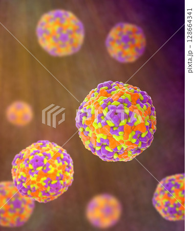 Enteroviruses, 3D illustration showing spherical, non-enveloped RNA viruses responsible for diseases like meningitis, myocarditis, hand-foot-mouth disease. 128664341