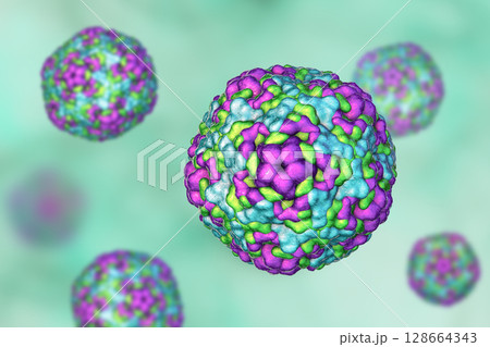 Enteroviruses, 3D illustration showing spherical, non-enveloped RNA viruses responsible for diseases like meningitis, myocarditis, hand-foot-mouth disease. Enteroviruses, 3D illustration showing spherical, non-enveloped RNA viruses responsible for diseases like meningitis, myocarditis, hand-foot-mouth disease. 128664343