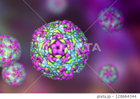 Enteroviruses, 3D illustration showing spherical, non-enveloped RNA viruses responsible for diseases like meningitis, myocarditis, hand-foot-mouth disease. Enteroviruses, 3D illustration showing spherical, non-enveloped RNA viruses responsible for diseases like meningitis, myocarditis, hand-foot-mouth disease. 128664344