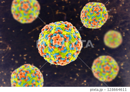 Enteroviruses, 3D illustration showing spherical, non-enveloped RNA viruses responsible for diseases like meningitis, myocarditis, hand-foot-mouth disease. Enteroviruses, 3D illustration showing spherical, non-enveloped RNA viruses responsible for diseases like meningitis, myocarditis, hand-foot-mouth disease. 128664611