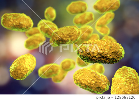Bacteria Bordetella pertussis Bacteria Bordetella pertussis 128665120