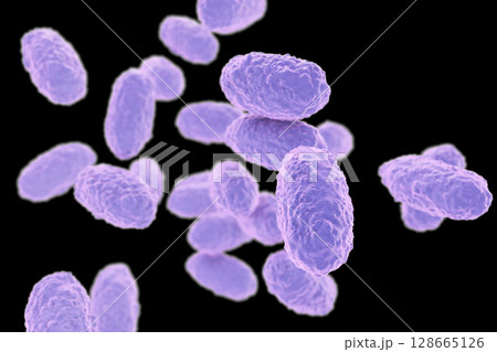 Bacteria Bordetella pertussis 128665126