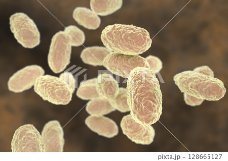 Bacteria Bordetella pertussis 128665127