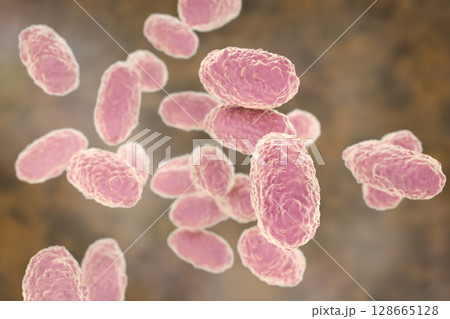Bacteria Bordetella pertussis 128665128