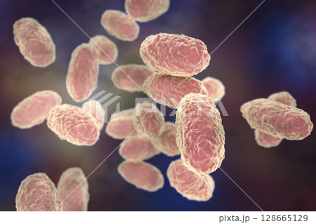 Bacteria Bordetella pertussis 128665129