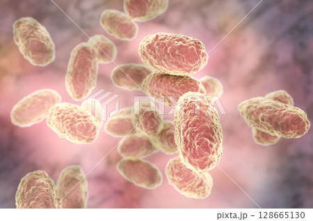 Bacteria Bordetella pertussis 128665130