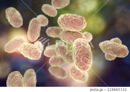 Bacteria Bordetella pertussis Bacteria Bordetella pertussis 128665132