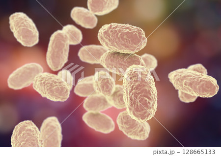 Bacteria Bordetella pertussis 128665133